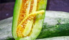 网红赵梓婷吃瓜,一场吃瓜盛宴背后的故事